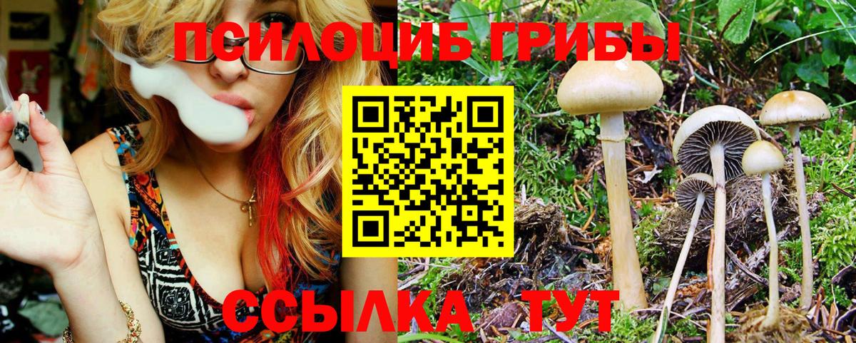 Галлюциногенные грибы ЛСД  Псилоцибиновые грибы GOLDEN TEACHER  Вход с VPN  Солнечногорск 